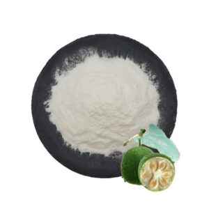 monk Fruit Extract Powder