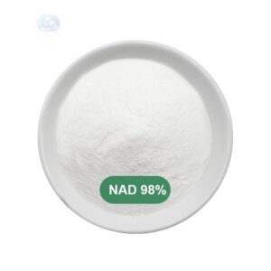 Nicotinamide Adenine Dinucleotide
