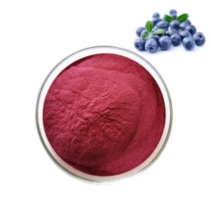 acai berry powder supplier, wholesale/bulk/oem/private label