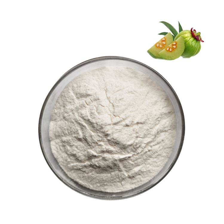 garcinia cambogia powder supplier, wholesale/bulk/oem/private label