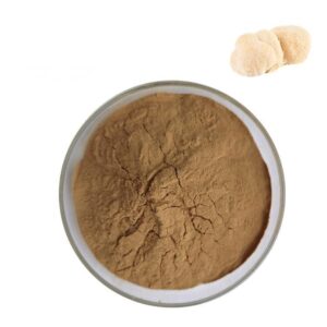 lions mane mushroom extract powder supplier, wholesale/bulk/oem/private label