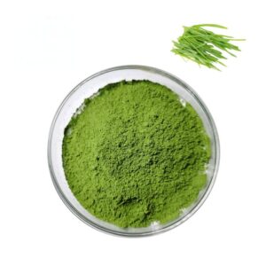 barley grass powder supplier, wholesale/bulk/oem/private label