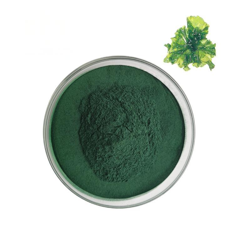 Chlorella Powder