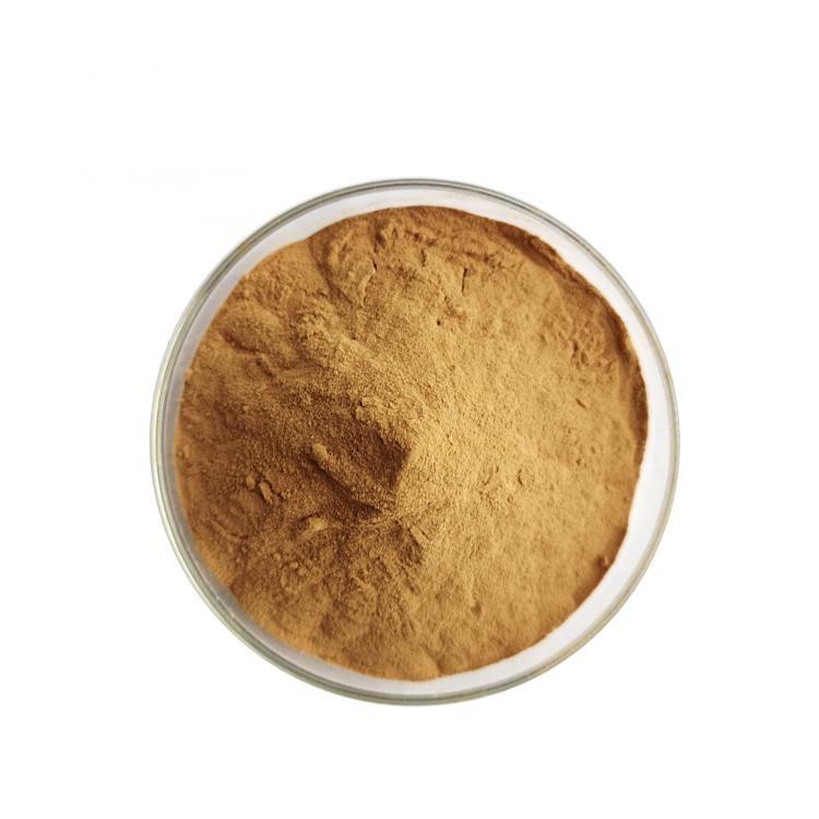 Cordyceps Militaris Extract