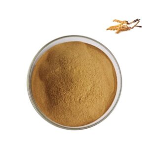 Cordyceps Extract