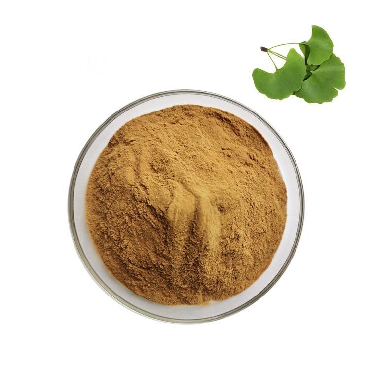 ginkgo biloba extract supplier, wholesale/bulk/oem/private label