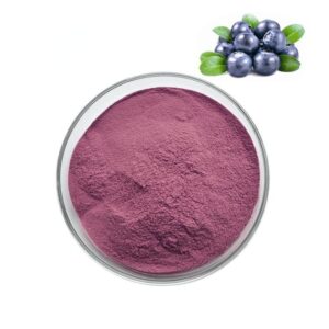 blueberry powder supplier, wholesale/bulk/oem/private label