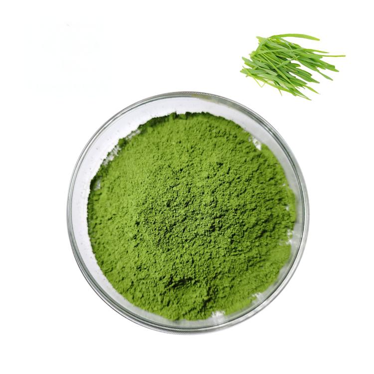 barley grass powder supplier, wholesale/bulk/oem/private label