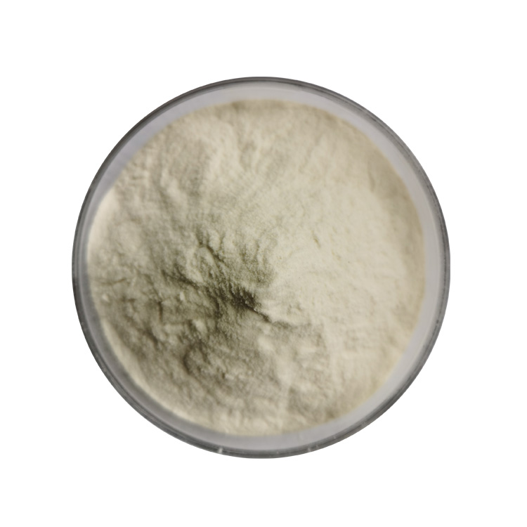 garcinia cambogia powder supplier, wholesale/bulk/oem/private label