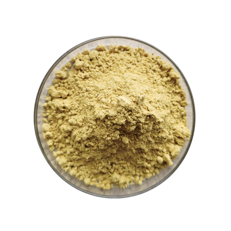 milk thistle extract powder supplier, wholesale/bulk/oem/private label
