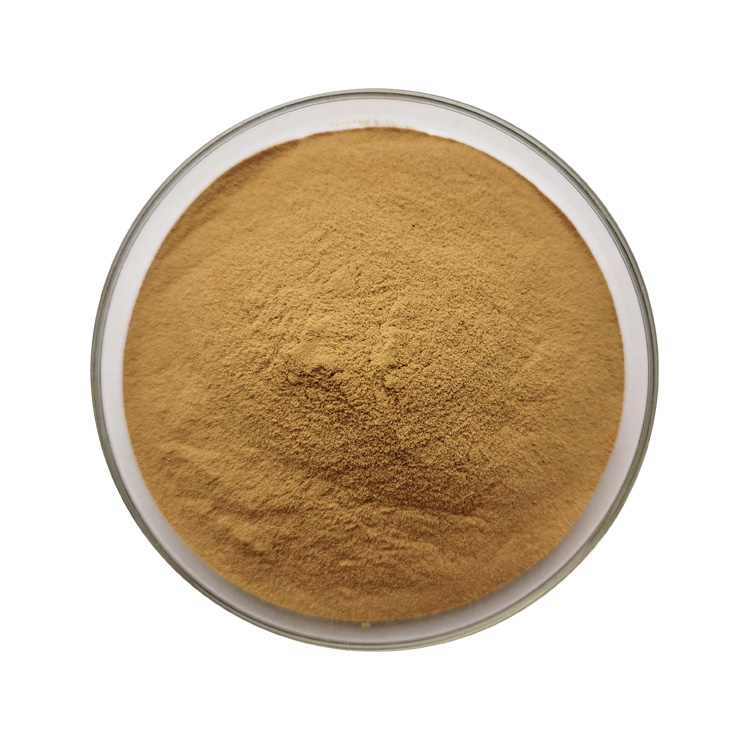extract powder