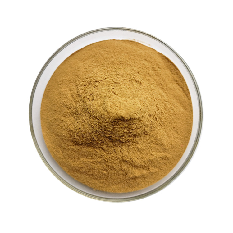 vitex powder