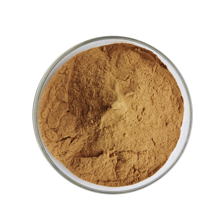 Pumpkin Seed Extract - Image 2