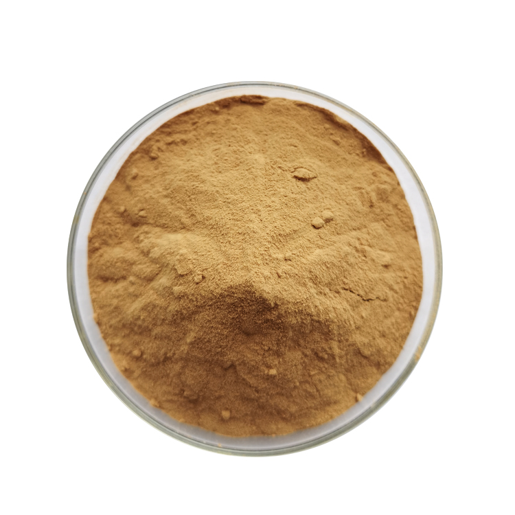hojicha tea powder supplier, wholesale/bulk/oem/private label
