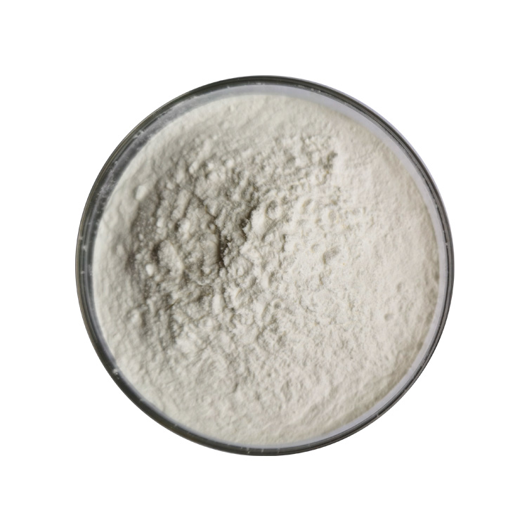 garcinia cambogia powder supplier, wholesale/bulk/oem/private label