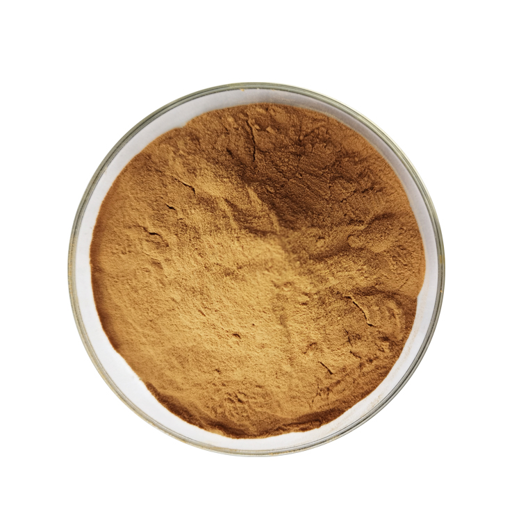 Cordyceps Militaris Extract - Image 3