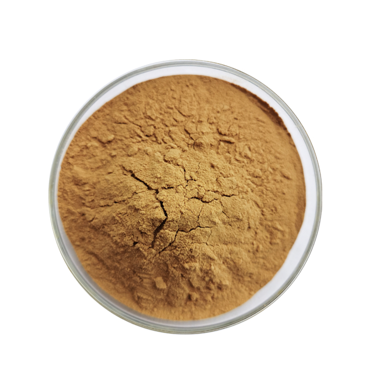 hojicha tea powder supplier, wholesale/bulk/oem/private label