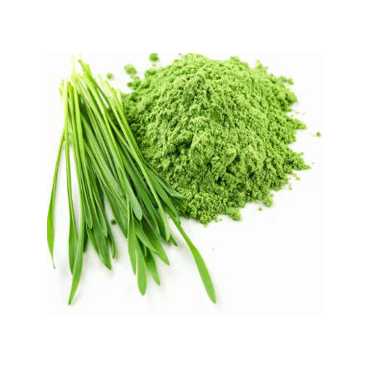 barley grass powder supplier, wholesale/bulk/oem/private label