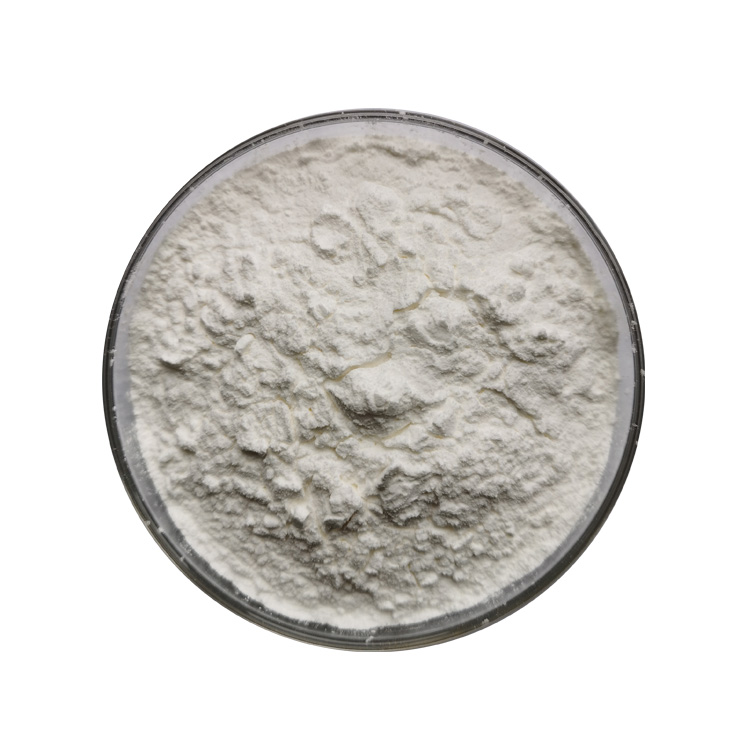 garcinia cambogia powder supplier, wholesale/bulk/oem/private label