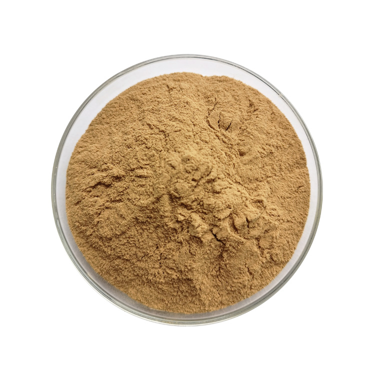 Pumpkin Seed Extract - Image 4