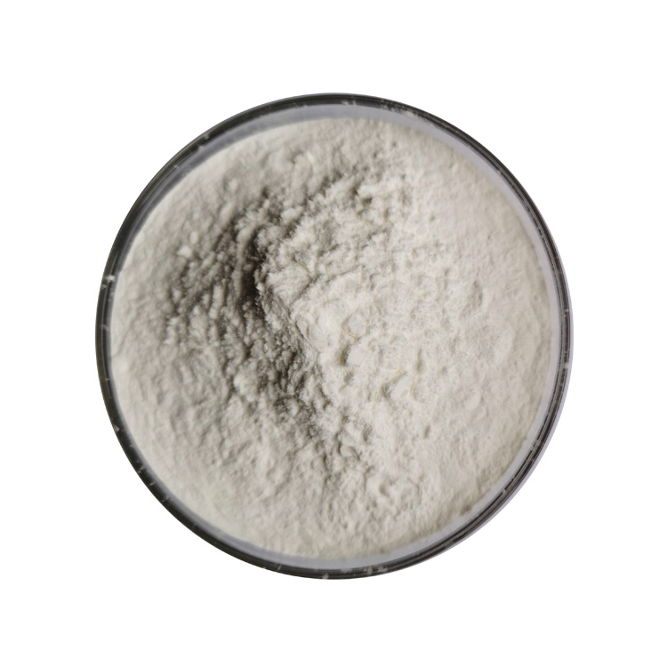 garcinia cambogia powder supplier, wholesale/bulk/oem/private label