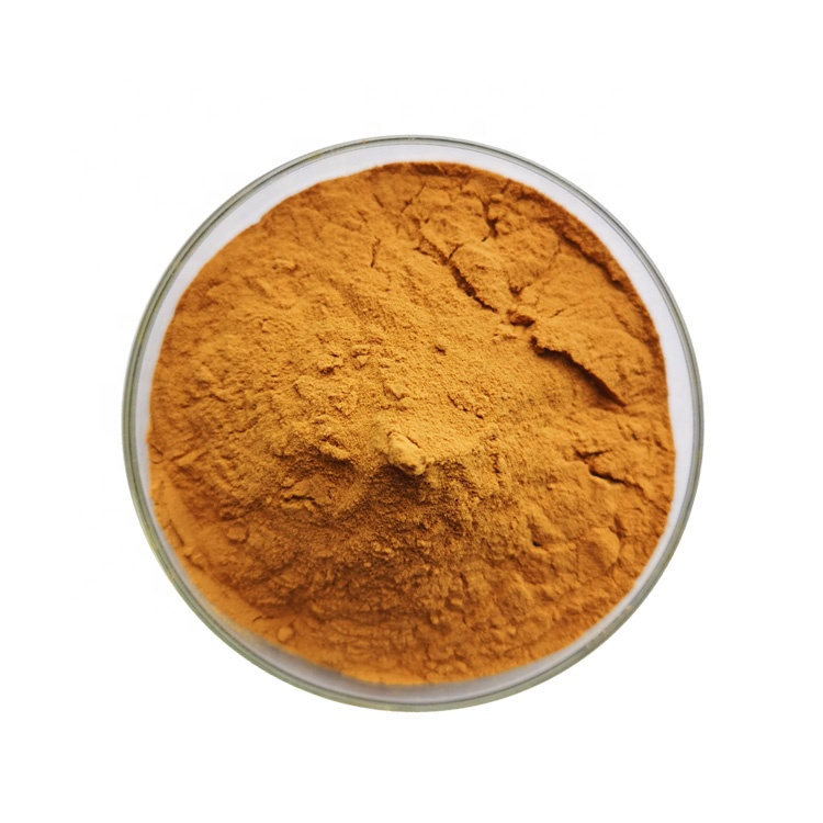 curcumin powder