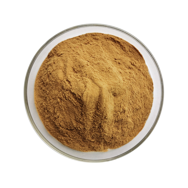 Pumpkin Seed Extract - Image 5