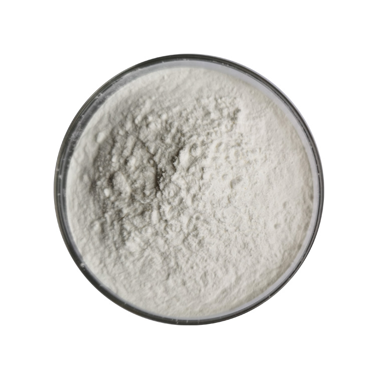 garcinia cambogia powder supplier, wholesale/bulk/oem/private label
