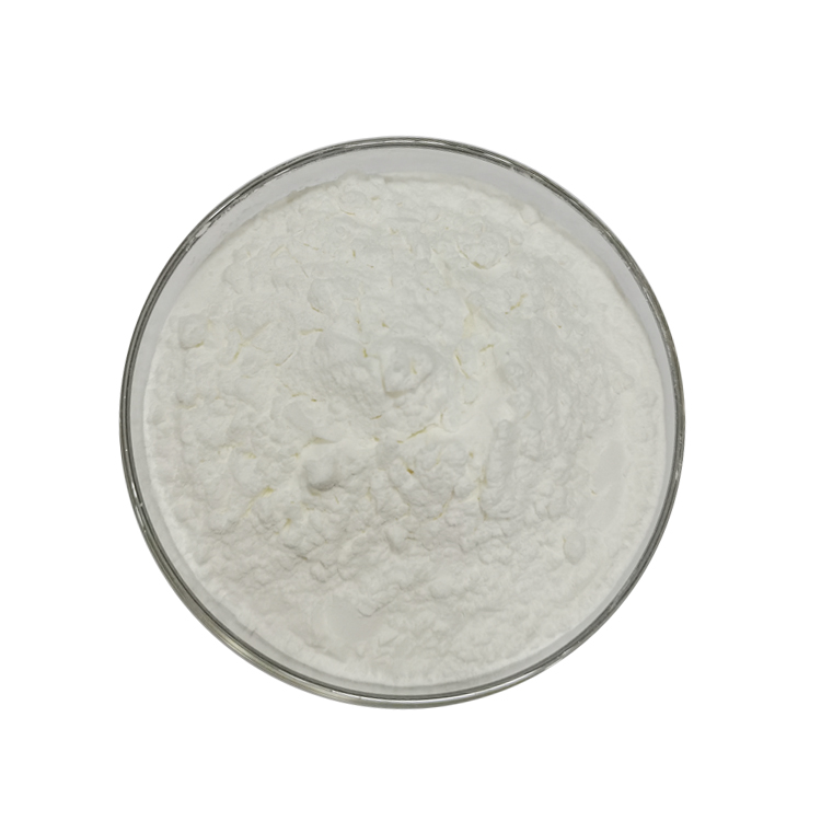 green tea extract powder