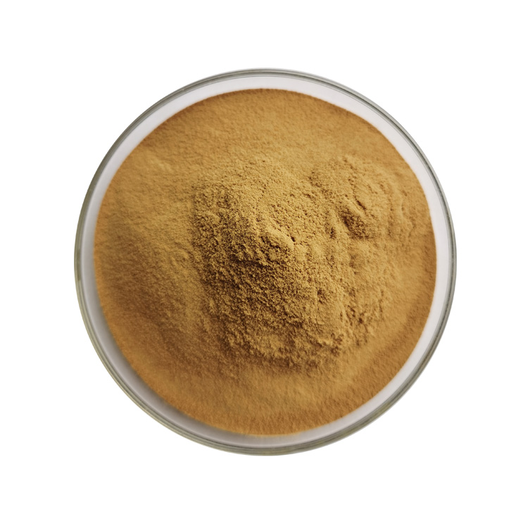 vitex powder