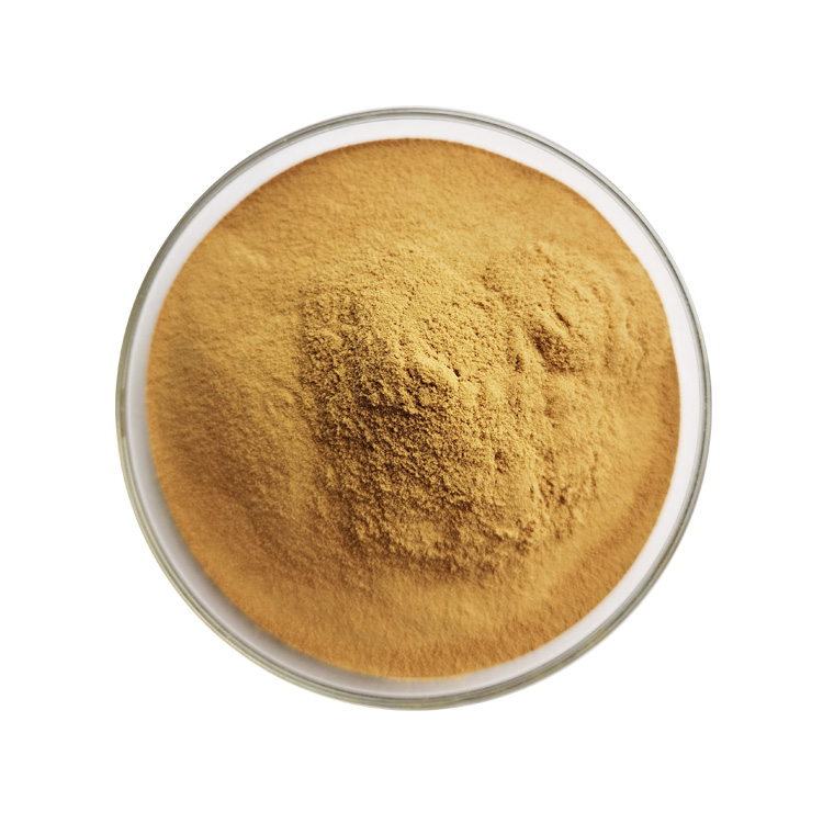 Pumpkin Seed Extract - Image 6
