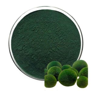 chlorella Protein Powder