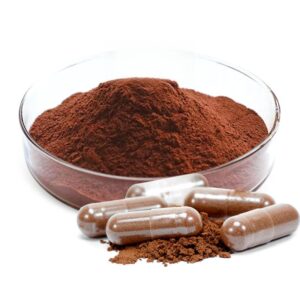 chaga Mushroom Extract