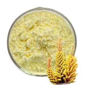 Pine Pollen Powder Food Grade