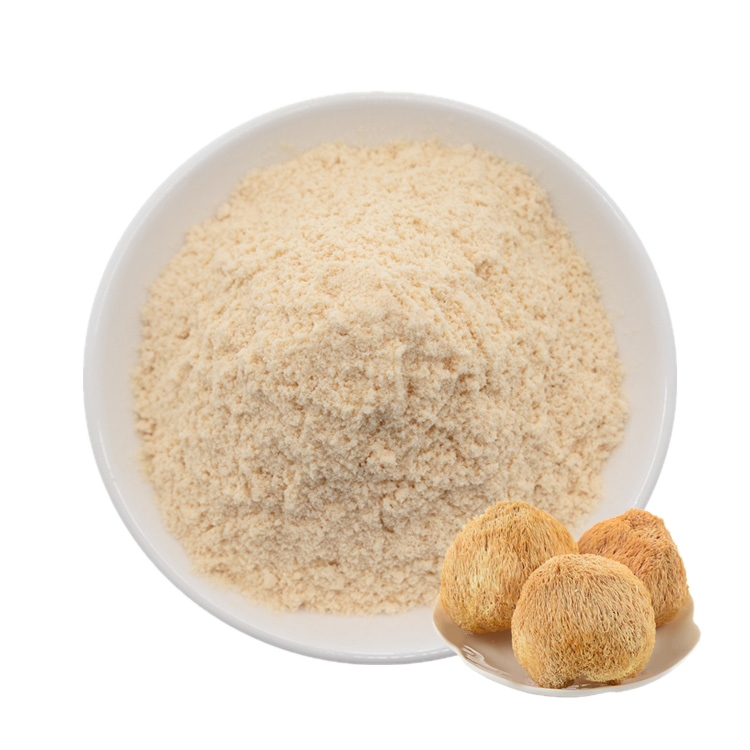 Lion's Mane Powder MOQ 25kg