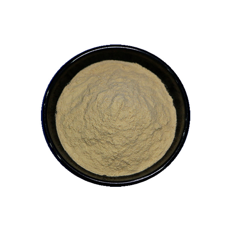 Chrysanthemum Powder