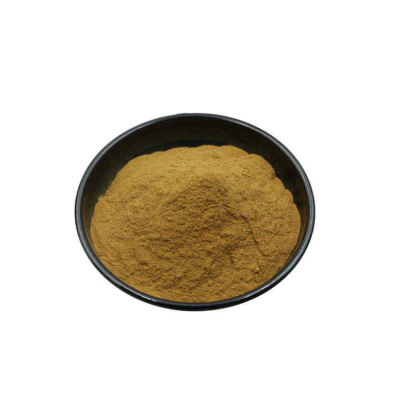 Codonopsis Extract