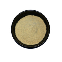 Jackfruit Powder