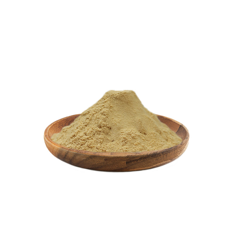 Jujube Powder