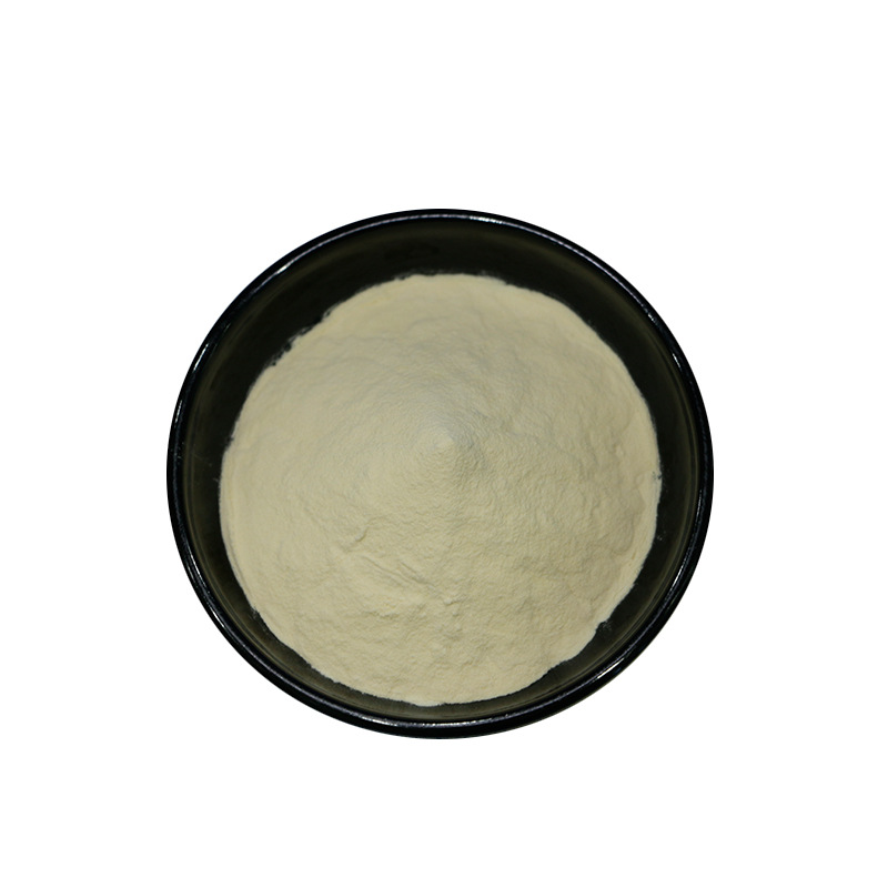 Longan Powder