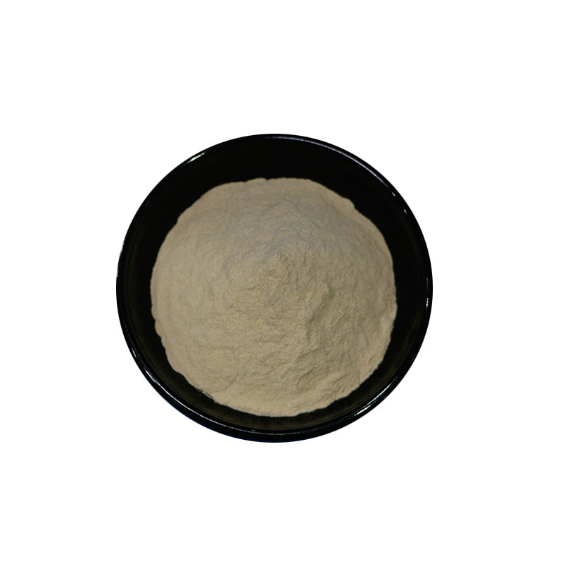 Prune Powder