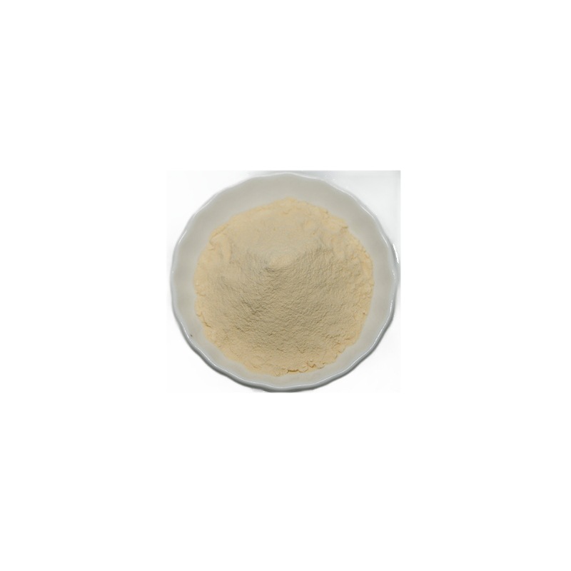 Yerba Mate Powder